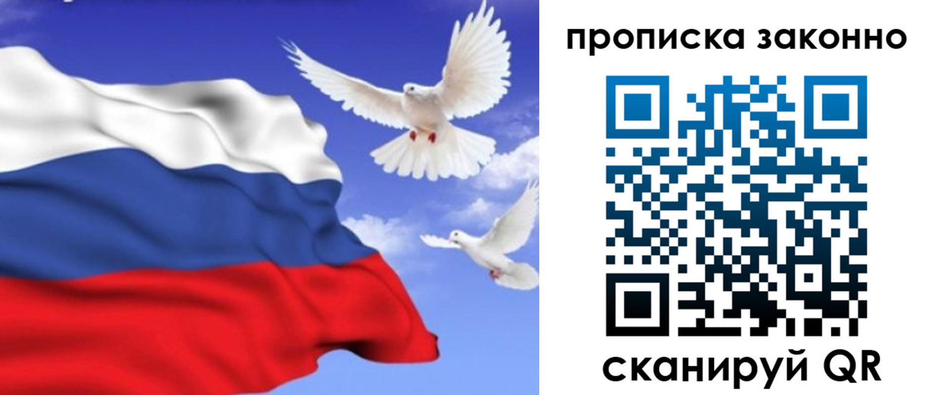 прописка в Котовске